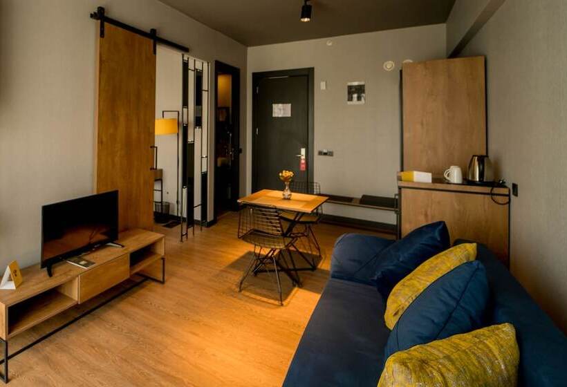 带1个卧室的豪华公寓, The Kayseri Loft