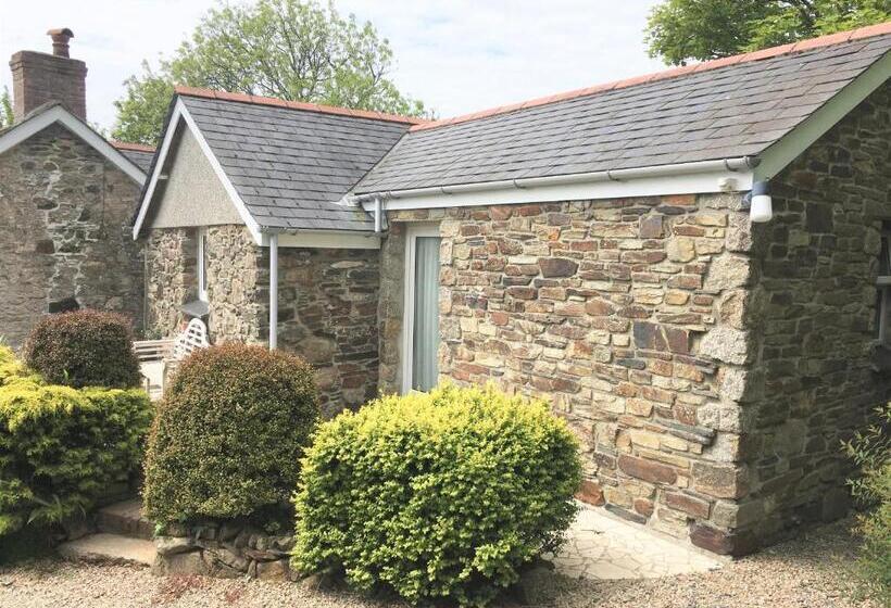 סטודיו סטנדרט, מיטה זוגית, Little Pengelly Farm