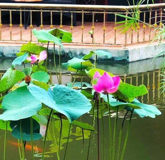 بنگله خانوادگی, Con Khuong Resort Can Tho