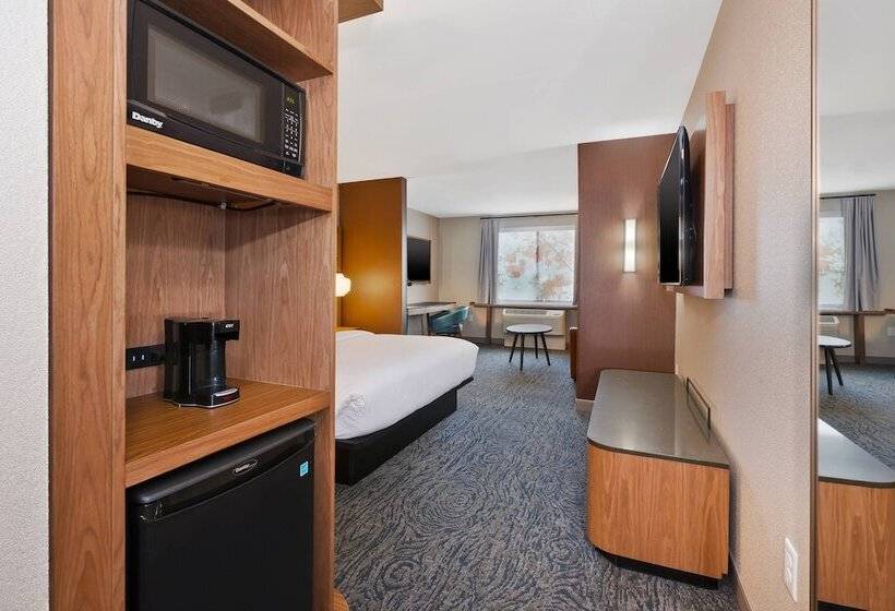 Standard-studio, Fairfield Inn & Suites By Marriott Kalamazoo