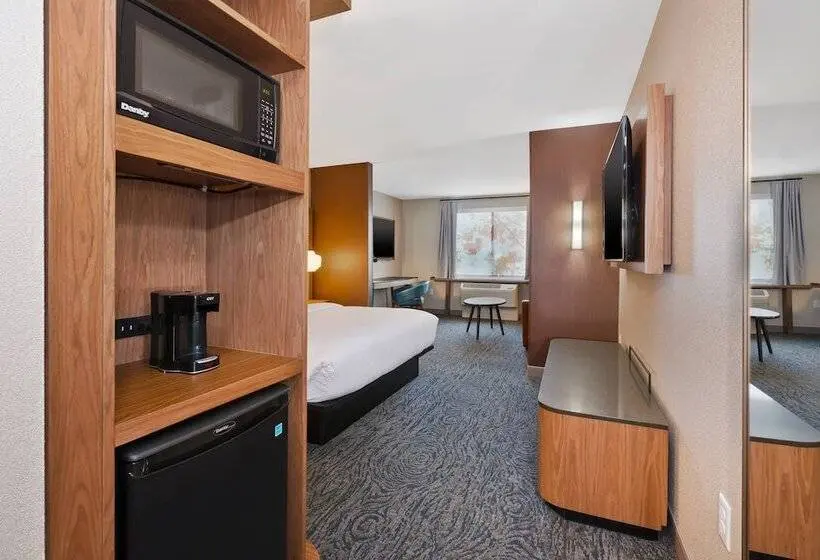 スタンダードスタジオ, Fairfield Inn & Suites By Marriott Kalamazoo