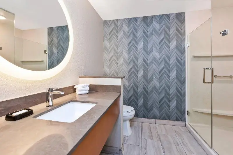 キングサイズベッドのスタンダードルーム, Fairfield Inn & Suites By Marriott Kalamazoo