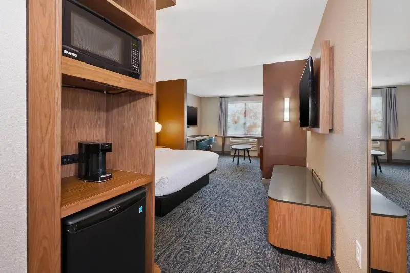 キングサイドベッドのスタンダードワンルーム, Fairfield Inn & Suites By Marriott Kalamazoo