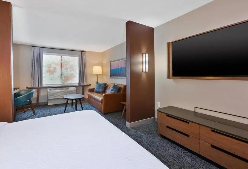 キングサイドベッドのスタンダードワンルーム, Fairfield Inn & Suites By Marriott Kalamazoo