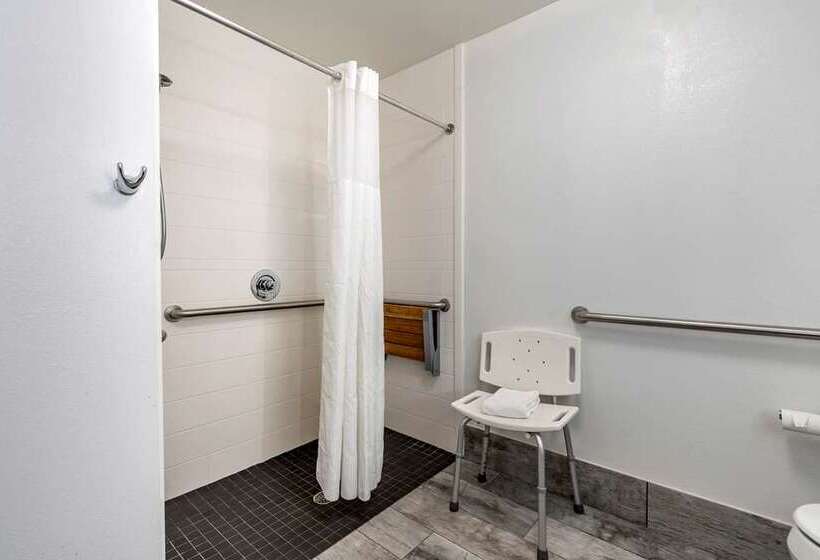 스탠다드 룸, Hampton Inn Dunedin