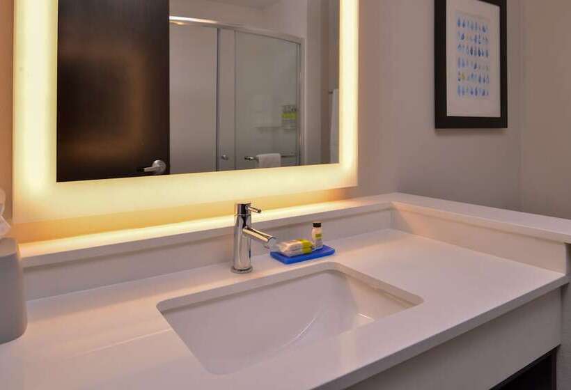 带2个双人床的标准工作室, Holiday Inn Express & Suites   Olathe West, An Ihg