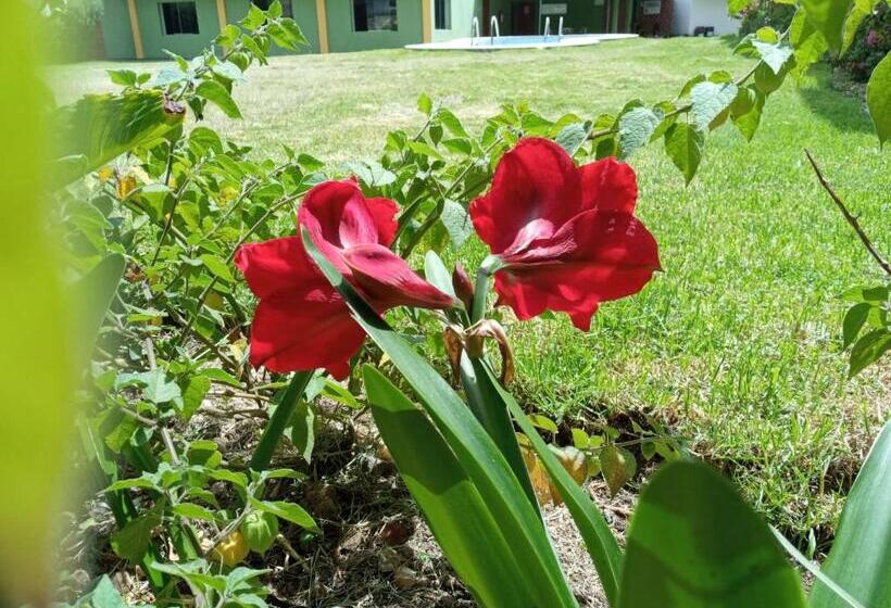 اتاق استاندارد سه نفره, Comtucar