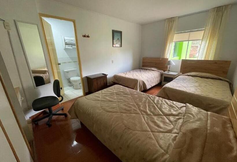 اتاق استاندارد سه نفره, Comtucar