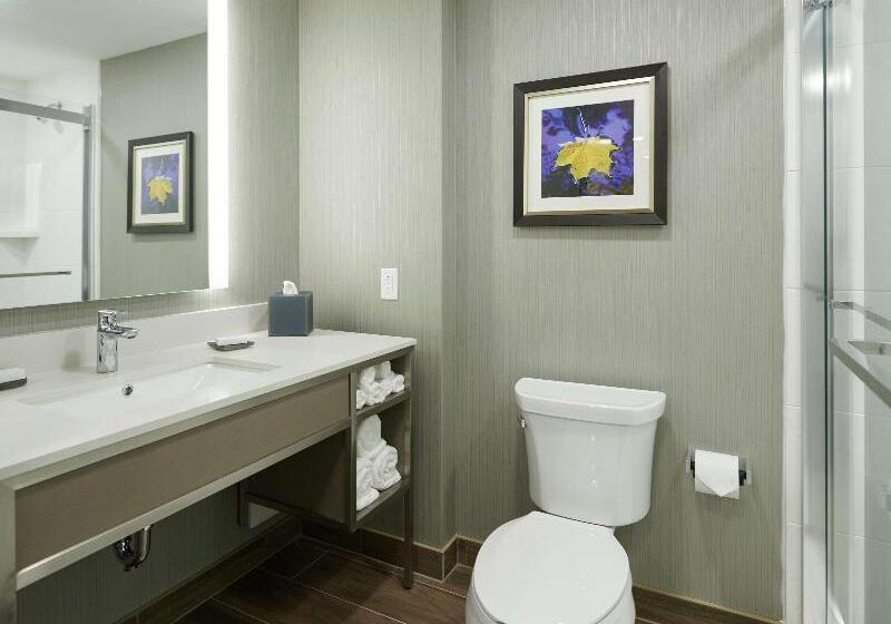 غرفة قياسية ذات إطلالة, Hilton Garden Inn St. John S Newfoundland, Canada