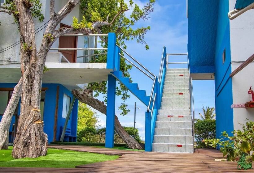 غرفة سوبيريور ثلاثية, La Jungla