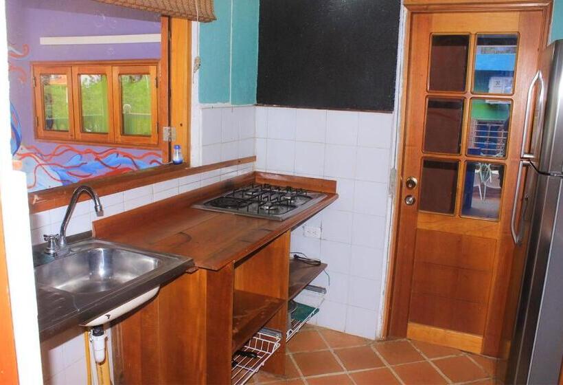 آپارتمان سوپریور 1 خوابه با چشمانداز دریا, Tayrona Colors Hostel