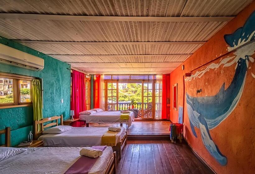 آپارتمان سوپریور 1 خوابه با چشمانداز دریا, Tayrona Colors Hostel