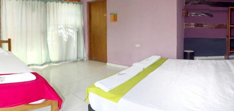 Economy Triple Room, Tayrona Colors Hostel