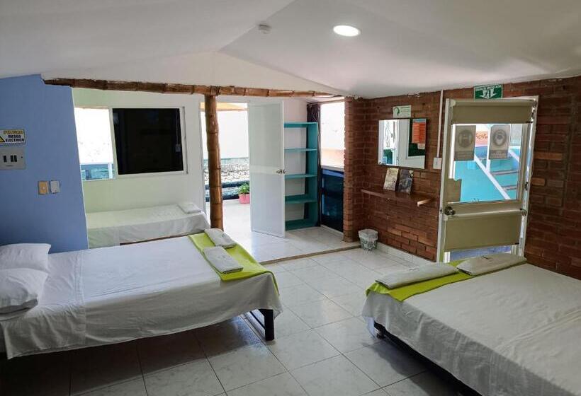 اتاق خانوادگی با چشمانداز دریا, Tayrona Colors Hostel