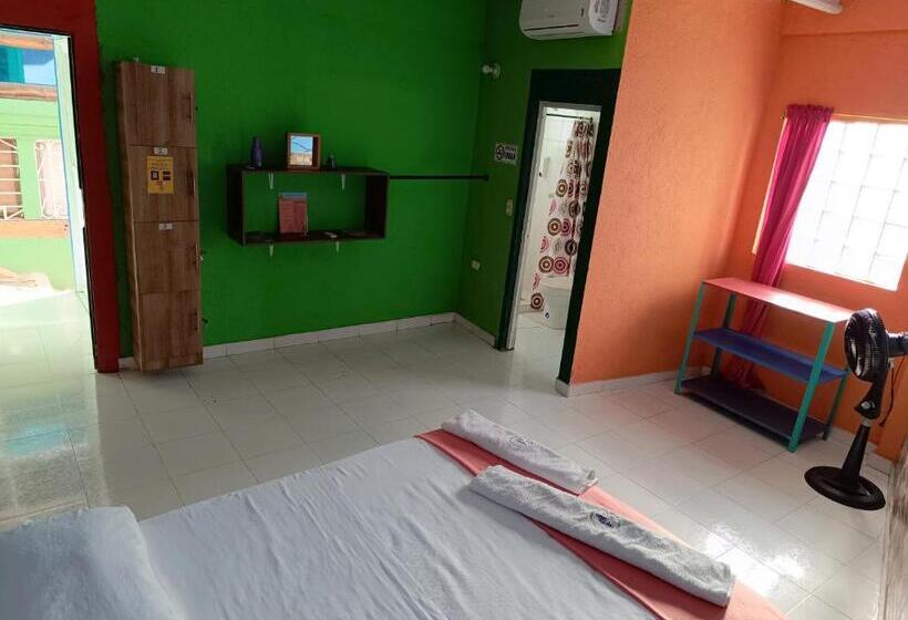 اتاق استاندارد, Tayrona Colors Hostel