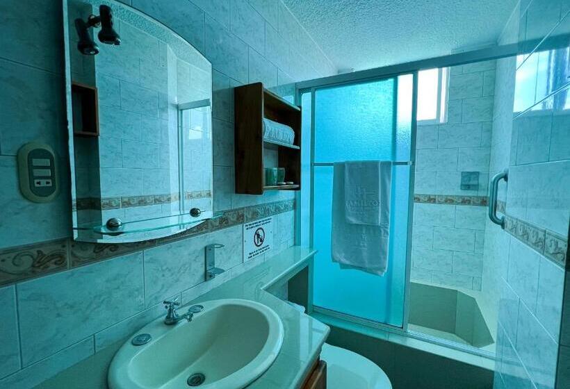 اتاق استاندارد, Apart Hotel Hamilton