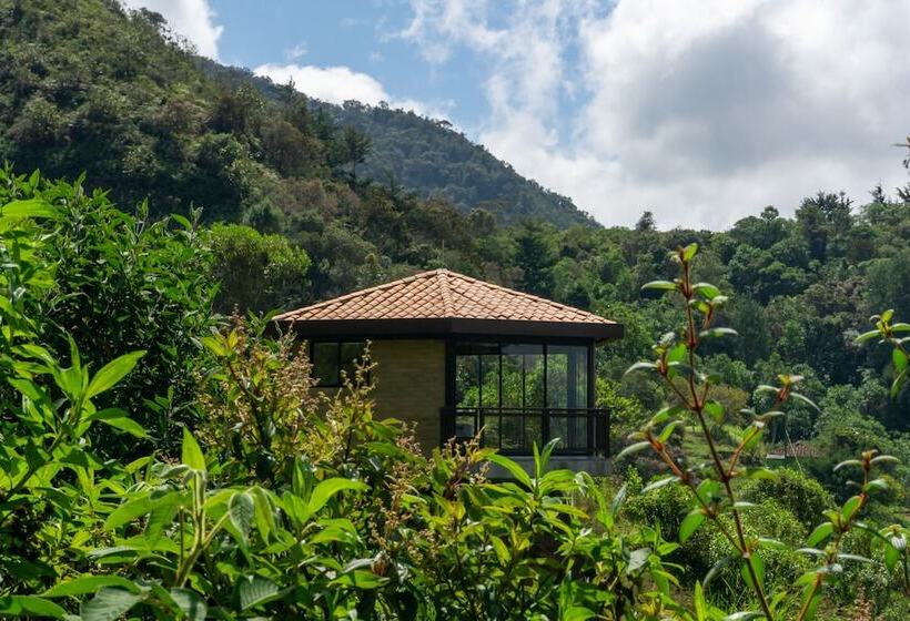 스탠다드 방갈로, Cannua Lodge