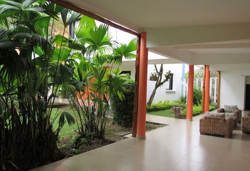 스탠다드 싱글 룸, Yalconia