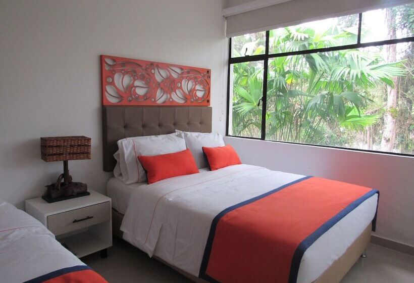 스탠다드 싱글 룸, Yalconia