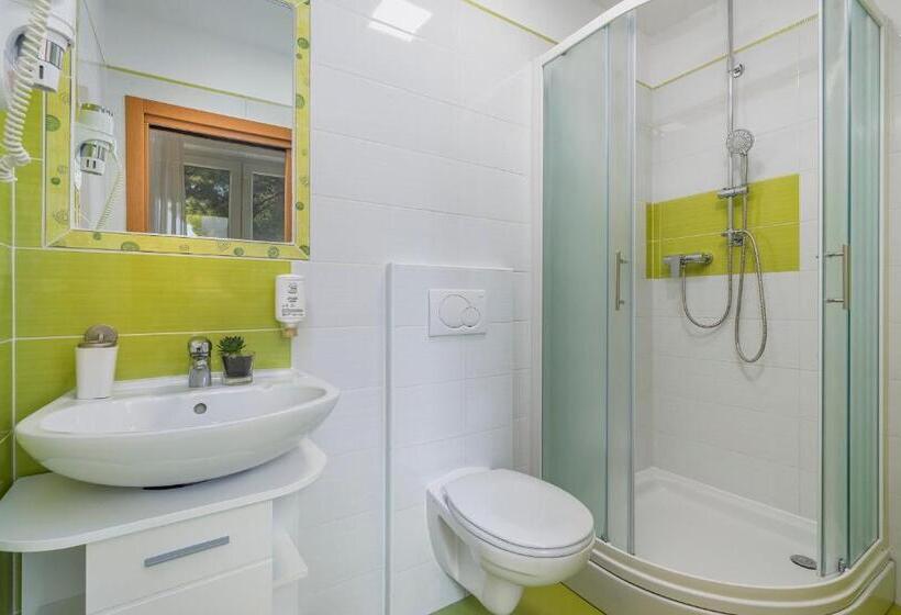 غرفة قياسية مزوَّدة بتراس, Villa Ladavac B&b