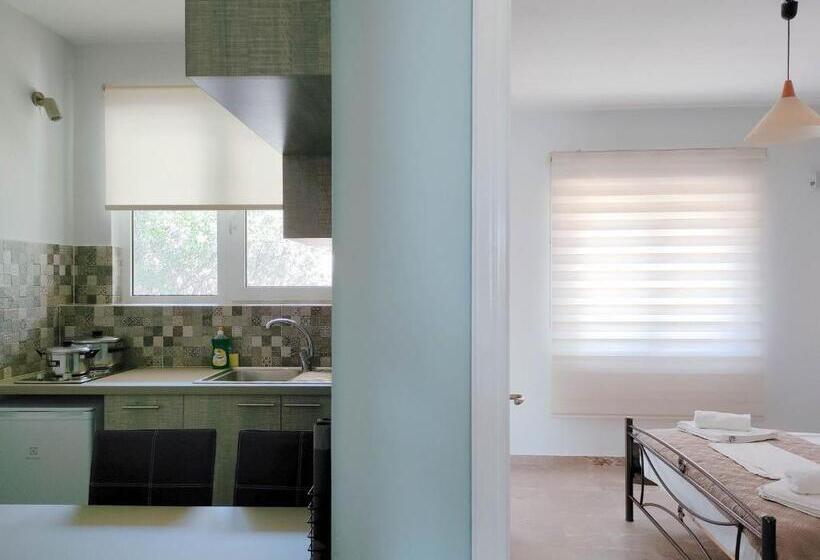 침실 1개 수피리어 아파트, Akrotopi Apartments