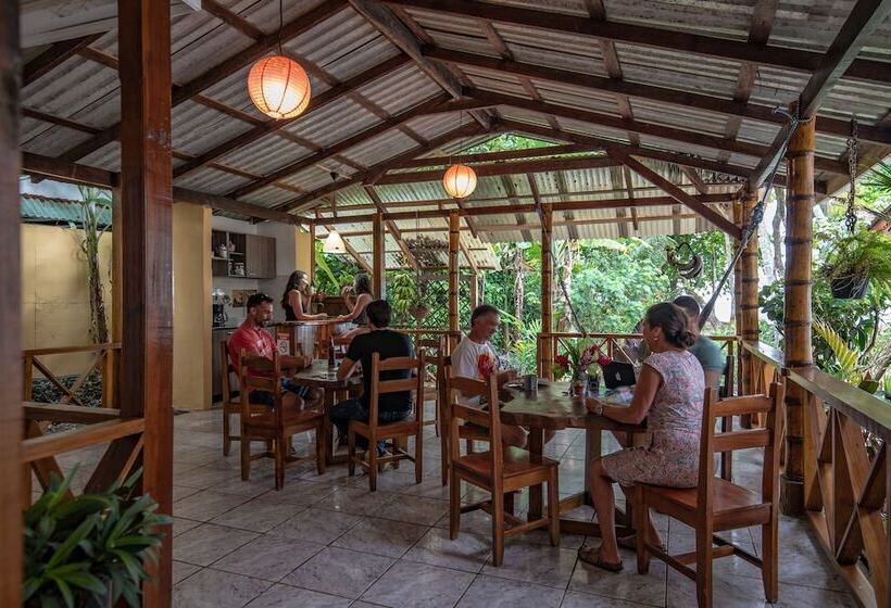 베이직 3인 룸, Yucca Beachfront