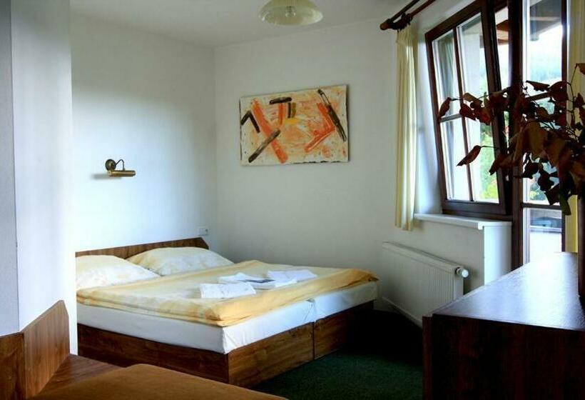 Háromágyas Standard Szoba, David Wellness