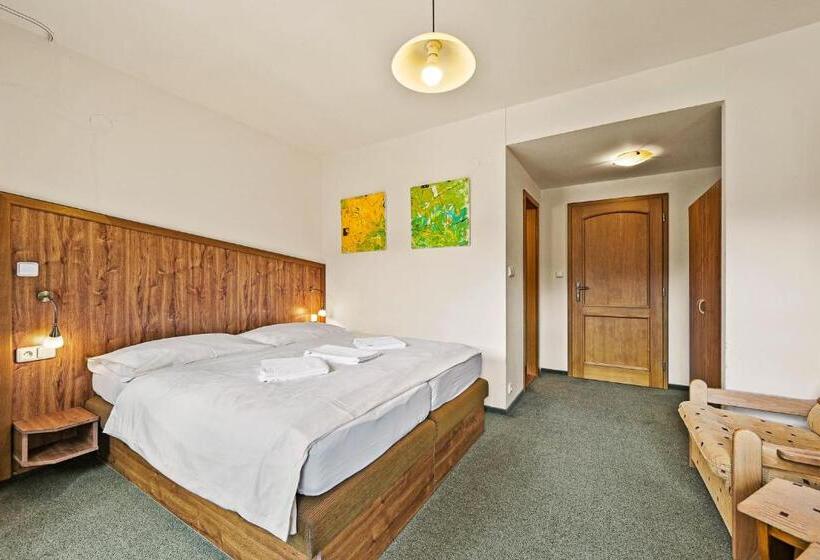 Standard Szoba, David Wellness