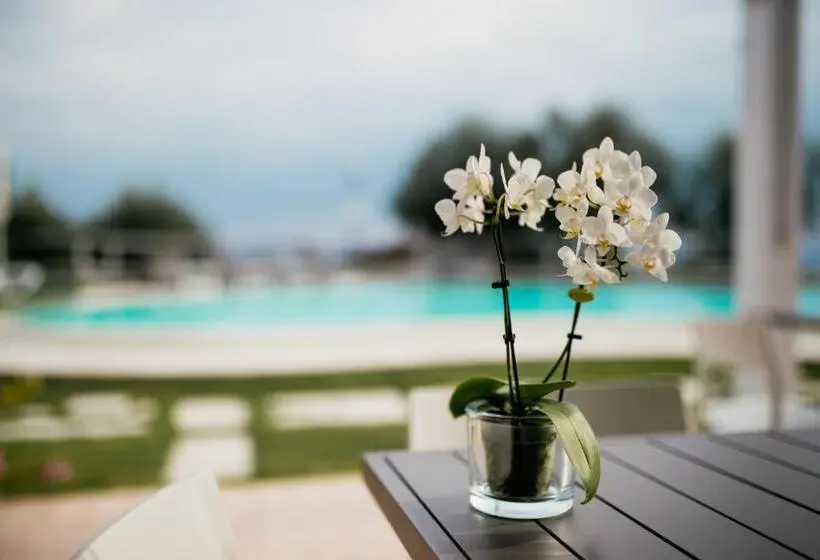 1 Bedroom Apartment Lake View, La Chioma Di Berenice Garda Residence