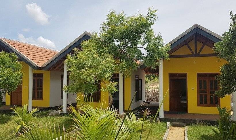 기본룸, Exotic Beach