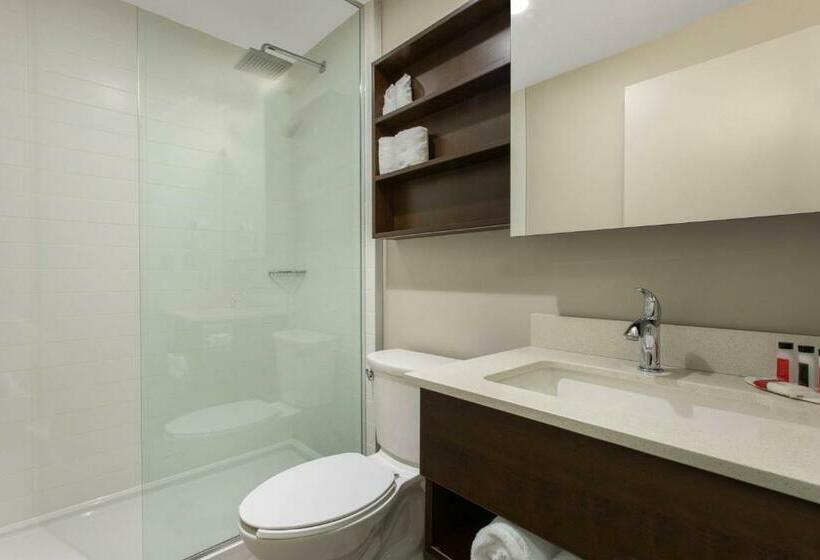 اتاق استاندارد, Microtel Inn & Suites By Wyndham Portage La Prairie