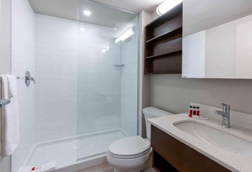 اتاق لوکس, Microtel Inn & Suites By Wyndham Portage La Prairie