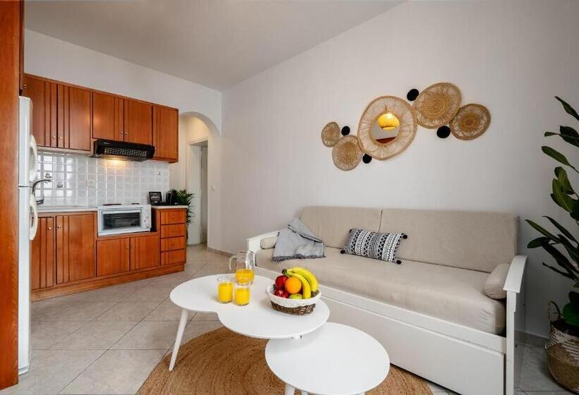 شقة غرفة واحدة مطلة على البحر, Erato Inn Naxos