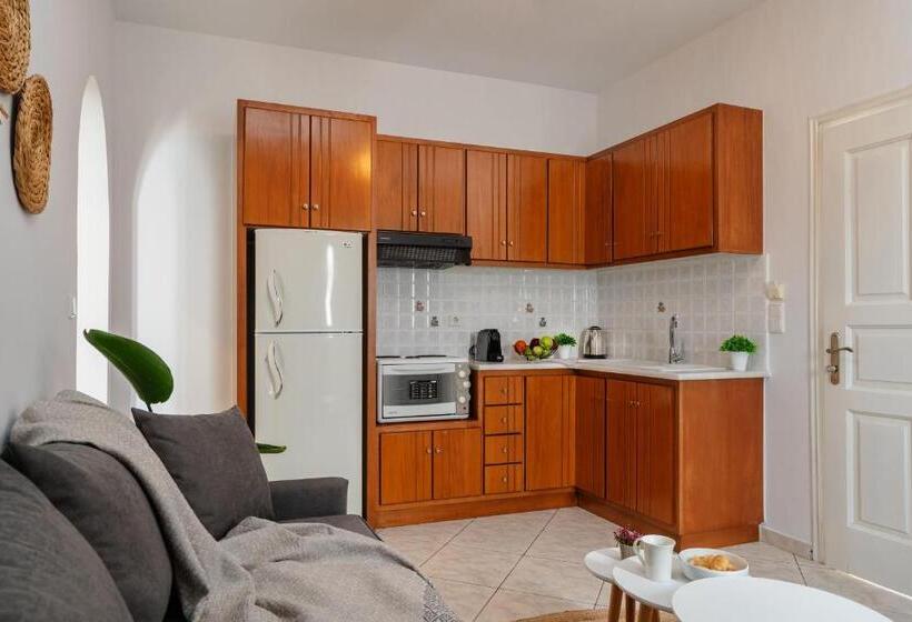 شقة ديلوكس غرفة واحدة, Erato Inn Naxos