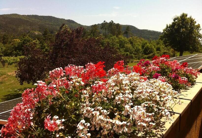 חדר סופריור, Sostio A Levante