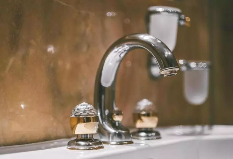 اتاق اکونومی یک تخته, Antares