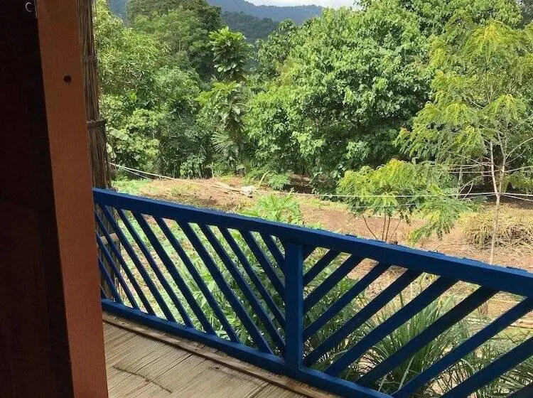 اتاق کلاسیک با تخت دوبل, Sten Lodge Eco Homestay