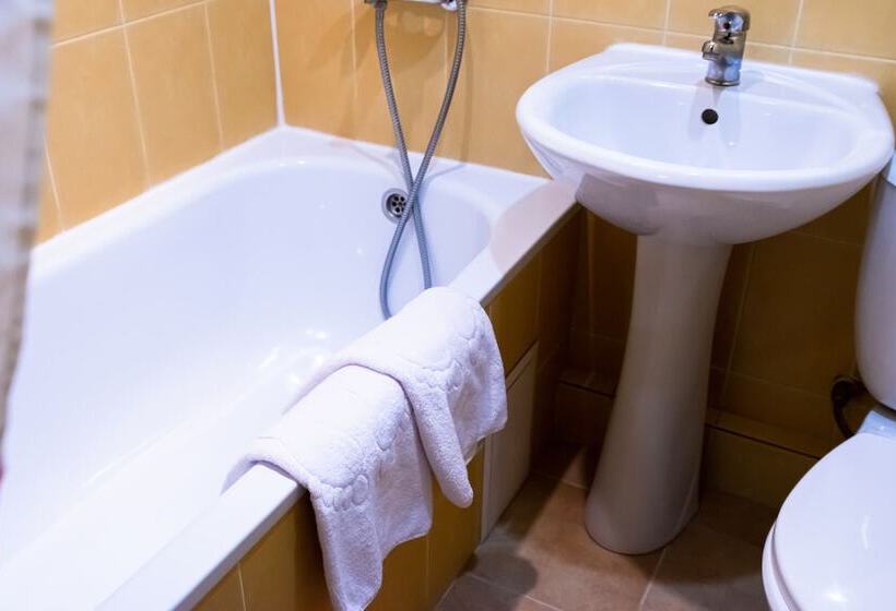 اتاق استاندارد, Amaks Tourist