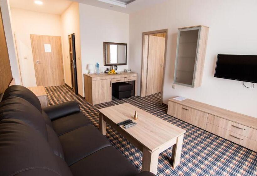 شقة ديلوكس غرفة واحدة, Spa Kompleks Raiski Kat