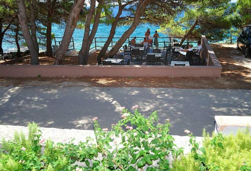 海の見える１ベッドルームアパートメント, Ana Murter