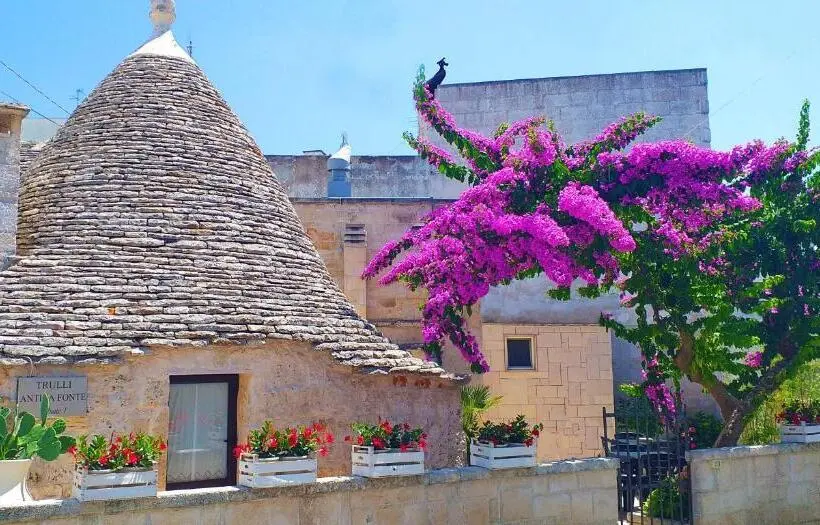 سوییت سوپریور, Trulli Antica Fonte