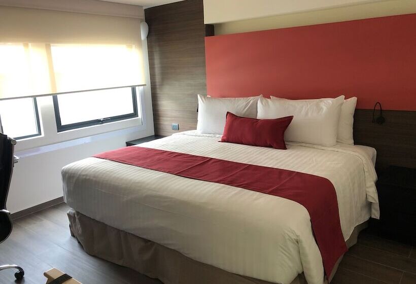 キングサイズベッドのスイートルーム, Mc Suites Mexico City