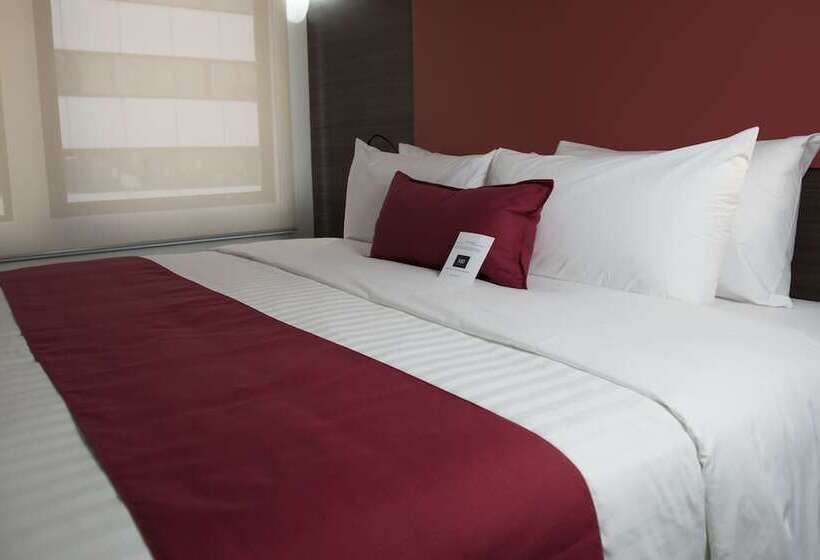 スーペリアースイート, Mc Suites Mexico City