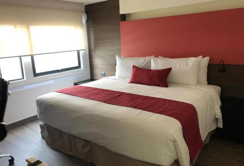 スーペリアースイート, Mc Suites Mexico City