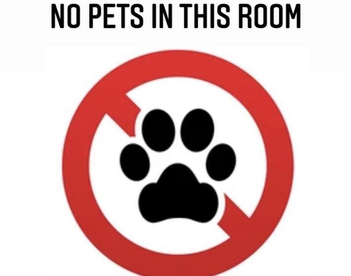 חדר סטנדרט חדר אמבטיה משותף, Classico Guesthouse