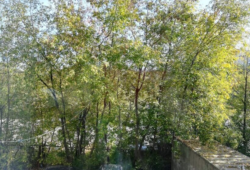 اتاق اکونومی, Kruise