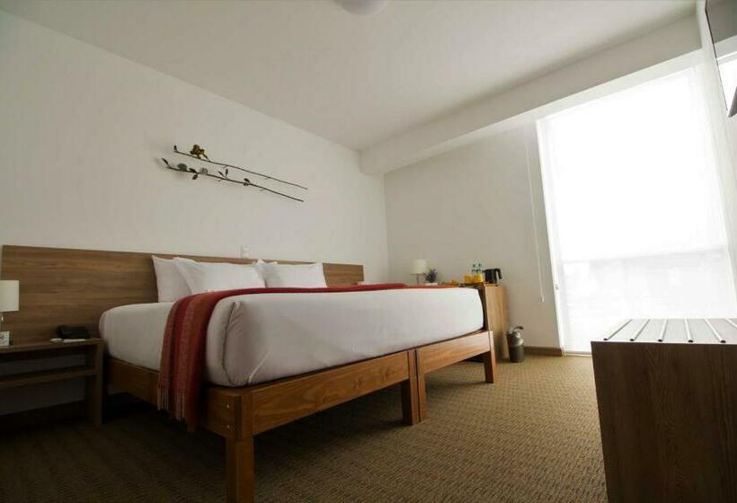 اتاق سوپریور, Tierra Viva Miraflores Centro