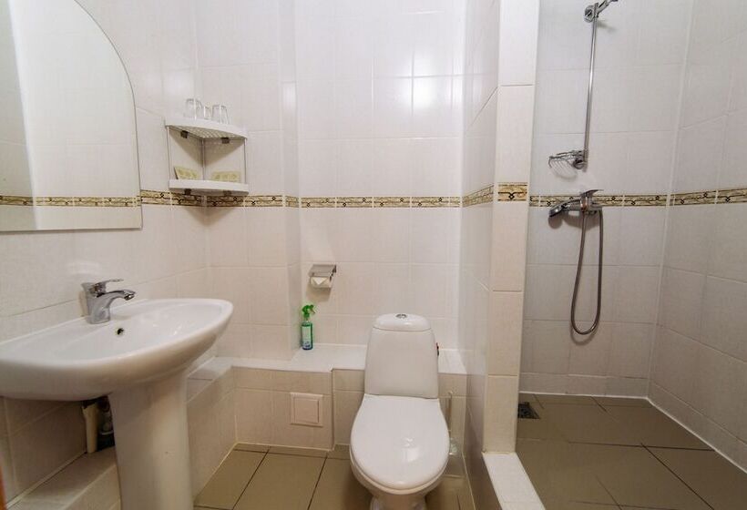 اتاق استاندارد سه نفره, Praha