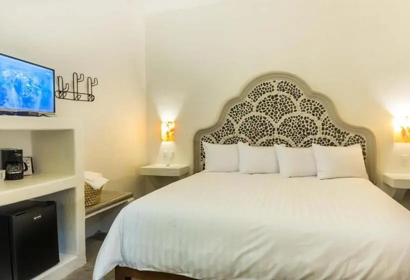 اتاق لوکس با تخت بزرگ, Rosarito