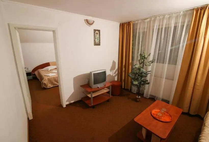 آپارتمان 1 خوابه با بالکن, Motel Cotul Donului